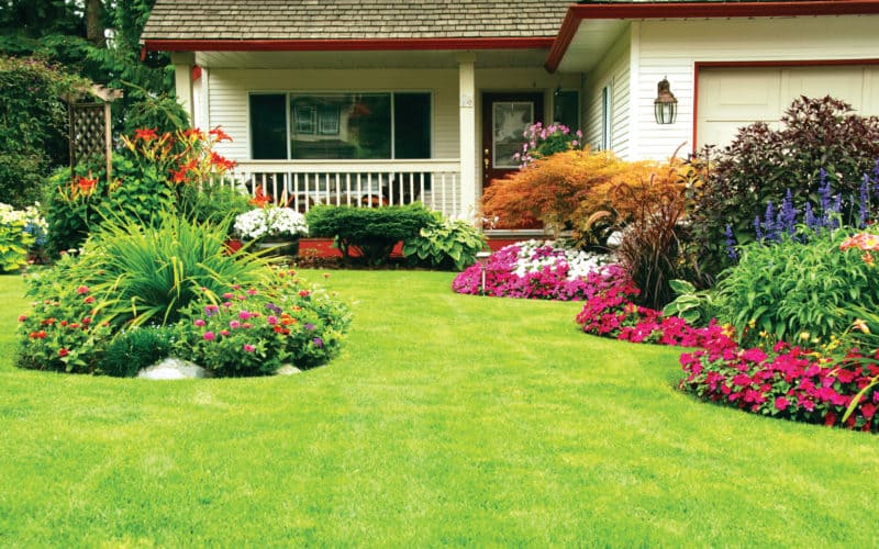 Powered By The People - Garden Design




