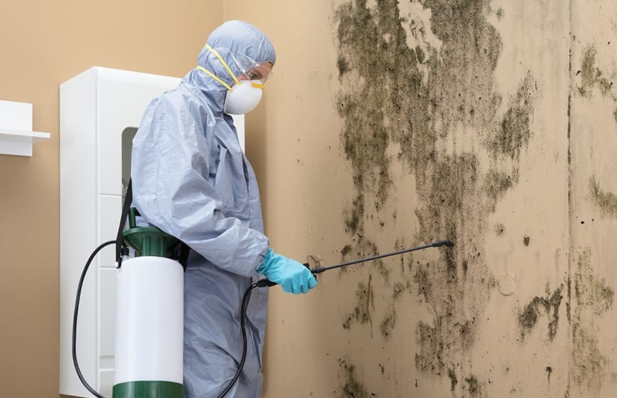 Mold Remediation Wisconsin